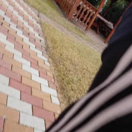 Reginavendeghaz 펜션